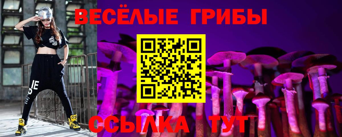 Псилоцибиновые грибы мицелий Джанкой